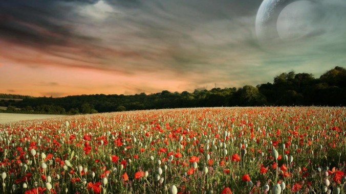 Golang是不是代替了PHP以前的生态位啊？